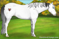 Horse Color:Bay Roan Onyx Splash Fewspot Rabicano