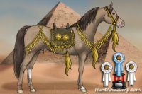 Horse Color:Classic Champagne 