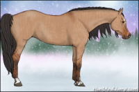 Horse Color:Bay Dun Sabino Rabicano and Bay Dun Sabino Rabicano