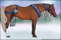 Horse Color:Silver Bay