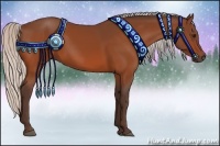 Horse Color:Silver Bay 