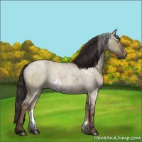 Horse Color:White Spotted Liver Red Dun Roan 