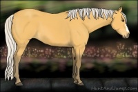 Horse Color:Silver Buckskin 