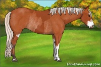 Horse Color:Bay Sabino Rabicano  and Silver Bay Sabino Rabicano 