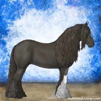 Horse Color:Smoky Black 