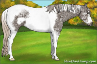 Horse Color:Gray Silver Black Ice Tobiano Frame