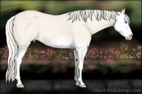 Horse Color:Cremello Splash