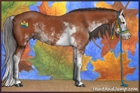 Horse Color:Brown Sabino Splash 