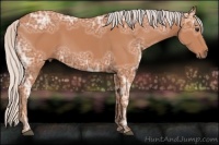 Horse Color:Silver Bay Ice