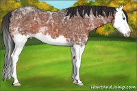 Horse Color:Brown Ice Splash 