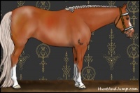 Horse Color:Silver Bay 