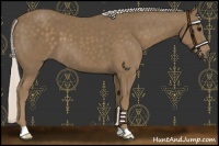 Horse Color:Silver Smoky Black 