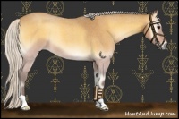 Horse Color:Silver Buckskin Roan Onyx 
