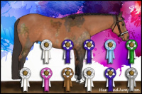 Horse Color:Buckskin Sabino Rabicano  and Bay Sabino Rabicano