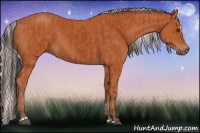 Horse Color:Bay Sabino Rabicano  and Silver Bay Sabino Rabicano 