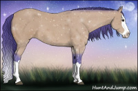 Horse Color:Watercolor Buckskin Splash 