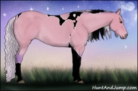 Horse Color:Watercolor Silver Buckskin Tobiano Rabicano 