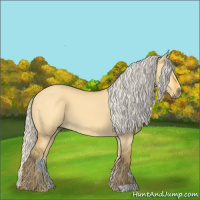 Horse Color:Silver Buckskin Dun 