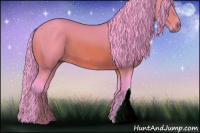 Horse Color:Watercolor Bay 