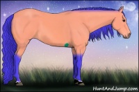 Horse Color:Watercolor Buckskin 