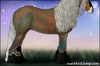 Horse Color:Silver Buckskin Splash 