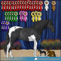 Horse Color:Black Tobiano Rabicano 