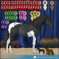Horse Color:Black Tobiano Rabicano