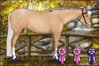 Horse Color:Silver Bay Pearl