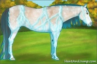 Horse Color:Thunderstruck White Spotted Sable Champagne Ice Dun 