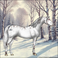 Horse Color:White Spotted Chocolate Silver Brown Chinchilla Leopard 
