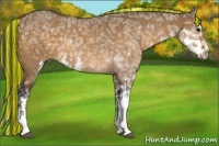 Horse Color:Painted Buckskin Ice Dun Sabino 