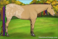 Horse Color:Painted Buckskin Ice Sabino Rabicano 