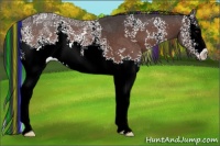 Horse Color:Painted White Spotted Brown Ice 