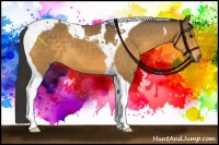 Horse Color:Buckskin Tobiano