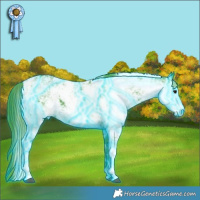 Horse Color:Thunderstruck Watercolor Smoky Black Ice Sabino