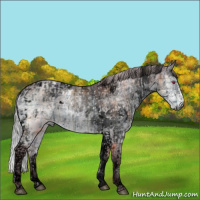 Horse Color:Void Plaid  White Spotted Chocolate Silver Brown Chinchilla Ice Dun Tobiano Rabicano  and Void Plaid  Chocolate Silver Brown Chinchilla Ice Dun Sabino Tobiano Rabicano 