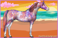 Horse Color:Watercolor White Spotted Liver Red Onyx Sabino Rabicano  and Watercolor White Spotted Liver Red Onyx Sabino Rabicano