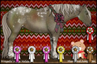 Horse Color:Chocolate Palomino Mushroom Tobiano 