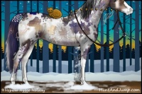 Horse Color:Plaid  White Spotted Brown Onyx 
