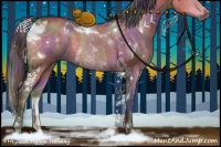 Horse Color:Nacre White Spotted Brown Dun 