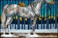 Horse Color:Nacre White Spotted Silver Brown Dun 