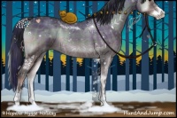 Horse Color:Plaid  Bay Onyx Sabino Rabicano 