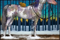 Horse Color:Nacre White Spotted Brown Dun 