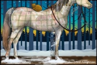 Horse Color:Plaid  White Spotted Brown Dun 