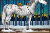 Horse Color:Silver Grullo Sabino 