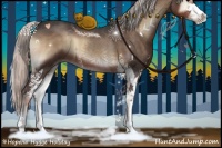 Horse Color:Silver Blue Onyx Sabino 