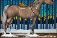 Horse Color:Silver Brown Dun Sabino 