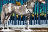 Horse Color:White Spotted Silver Blue Onyx 