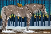 Horse Color:Silver Grullo Sabino 
