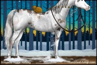 Horse Color:Silver Blue Onyx Sabino 